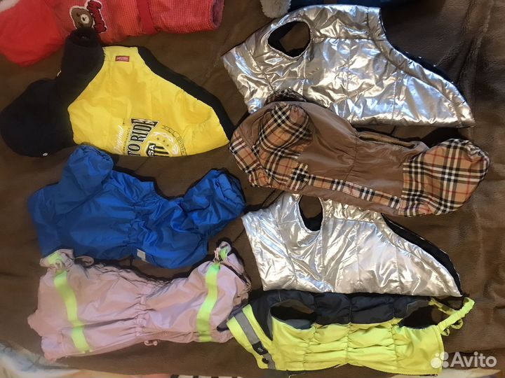 Одежда для средних и маленьких собаки