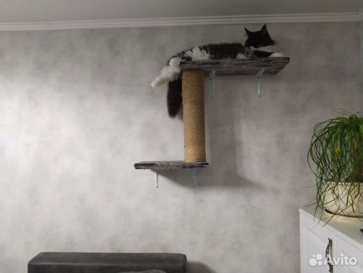 Когтеточка домик для кошки новый