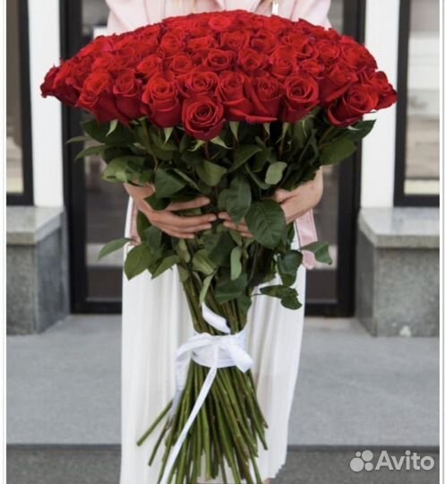 Розы гиганты