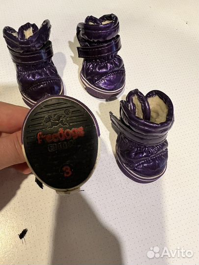 Кеды для собак Freedogs (Размер 3)