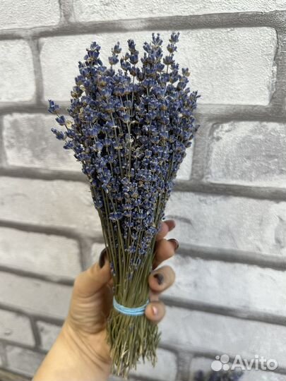 Лаванда Синева Букетики