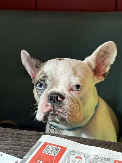 Модель для фотосессии