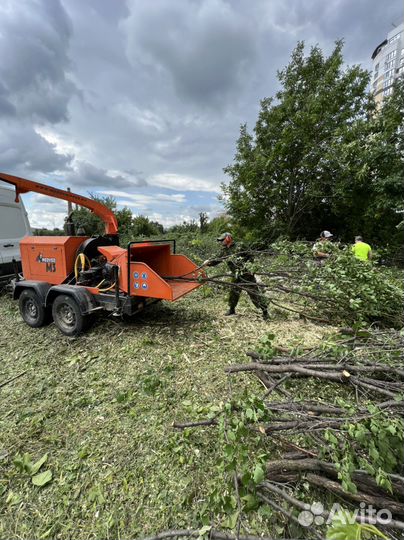 Измельчитель Веток, Дробилка в аренду