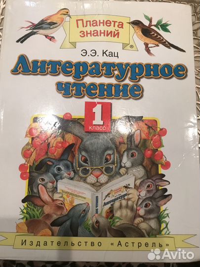 Литературное чтение Э.Э.Кац