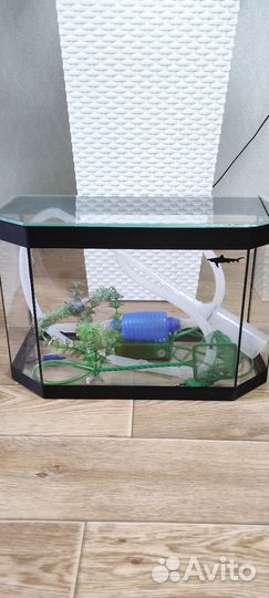 Аквариум