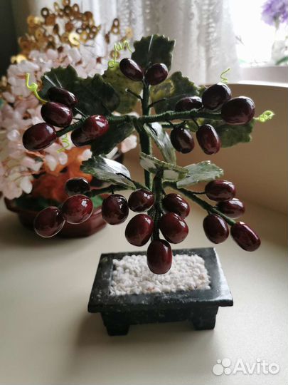 Дерево Фен - Шуй