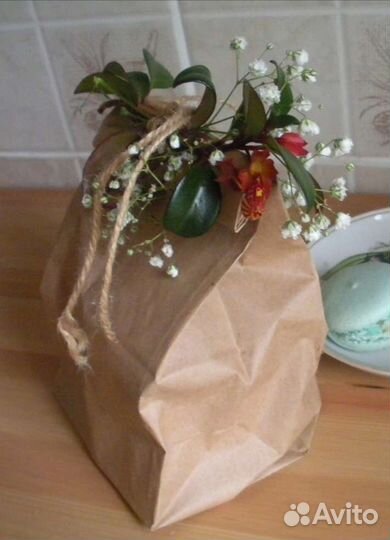 Гипоцитра отростки укоренённые цветок домашний