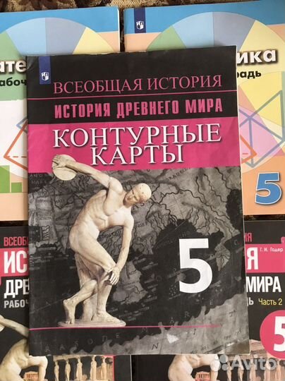 Рабочие тетради 5 класс