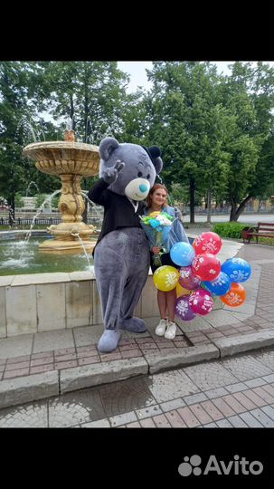 Поздравления от Мишки Тедди