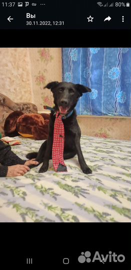 Мальчик Крош ищет дом