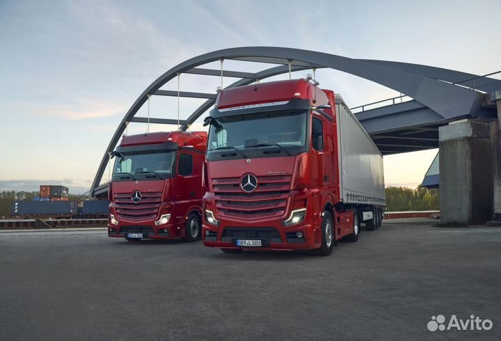 Отключение мочевины Mercedes Actros