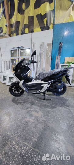 Скутер Tracer ADV