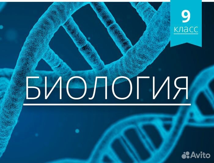 Репетитор по биологии