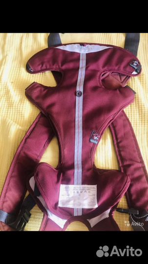 Кенгуру inglesina