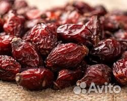 Шиповник горный