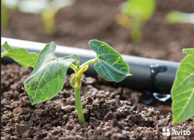 Система капельного полива 