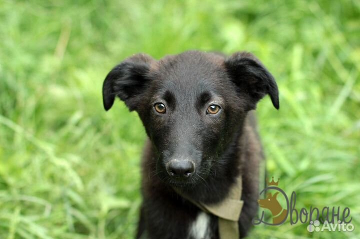 Красивая и обаятельная Ульяша