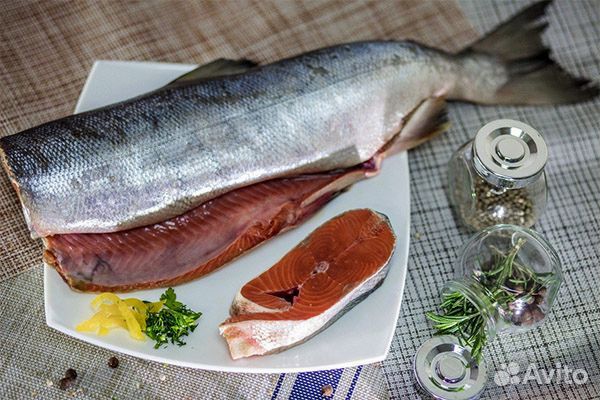 Кета пбг 2023г