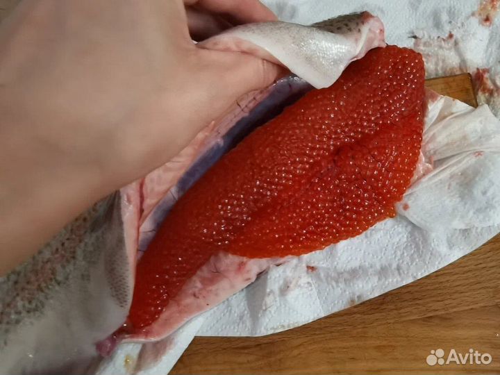 Форель радужная