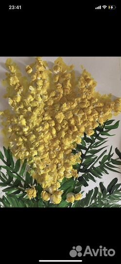 Репетитор по изо