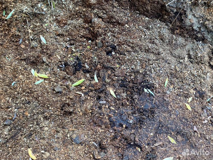 Конский навоз (перегной ) в мешках