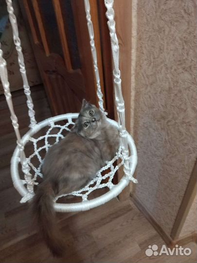 Подвесная лежанка для кошек