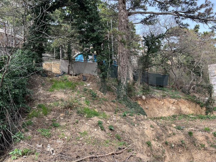 Участок 3,1 сот. (ИЖС)