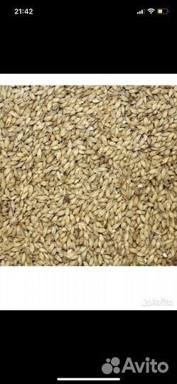 Кукуруза дробленная