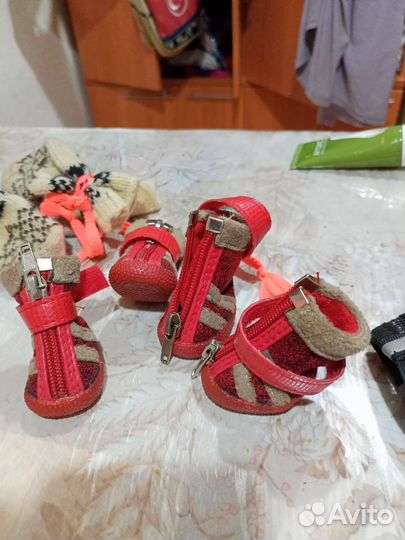 Одежда для маленьких собак