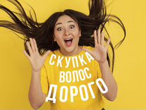 Скупка волос сдать продать волосы Ростов на Дону