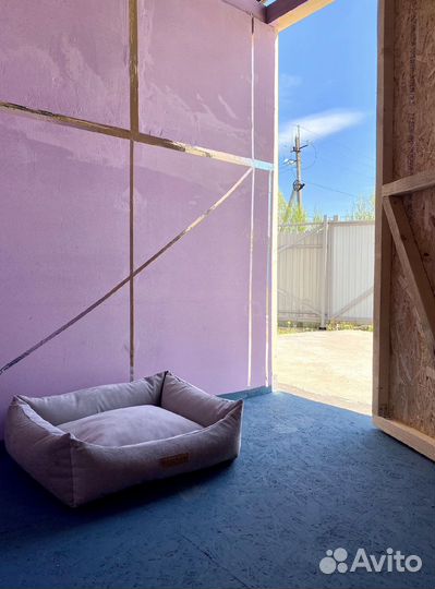 Передержка для собак