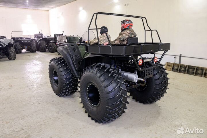 Сокол Трофи