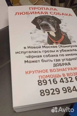 Печать цветная и черно-белая А1 А2 А3 А4 А5