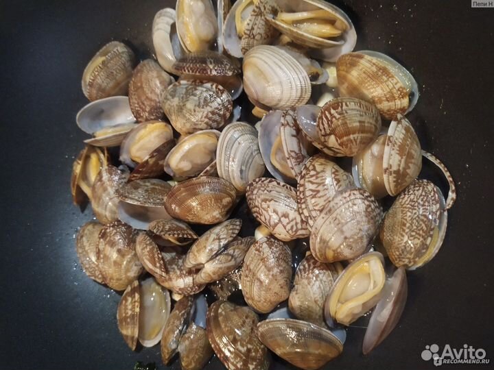 Мясо мидий, Клемы Вонголе