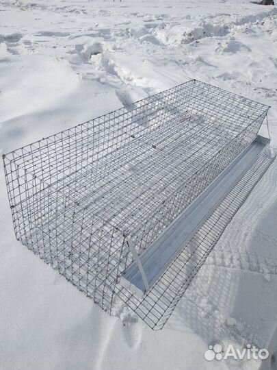 Клетка для перепелов