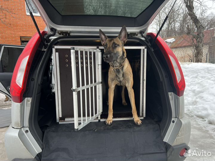 Клетка в машину для собак