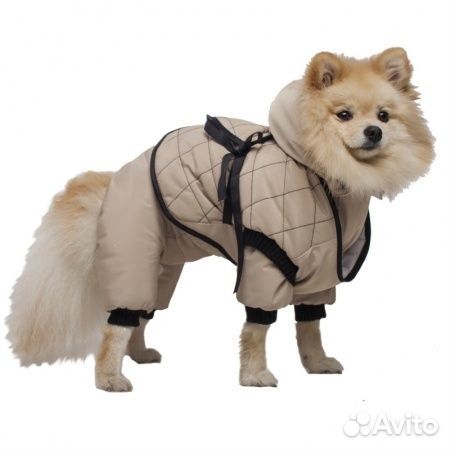 Одежда DogVille комплект 52145д костюм с жилетом