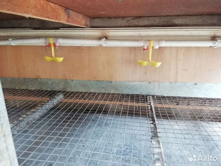 Клетки для кур бройлеров