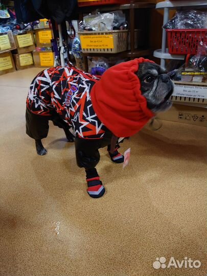 Магазин Дог Ленд Одежда и Обувь для собак