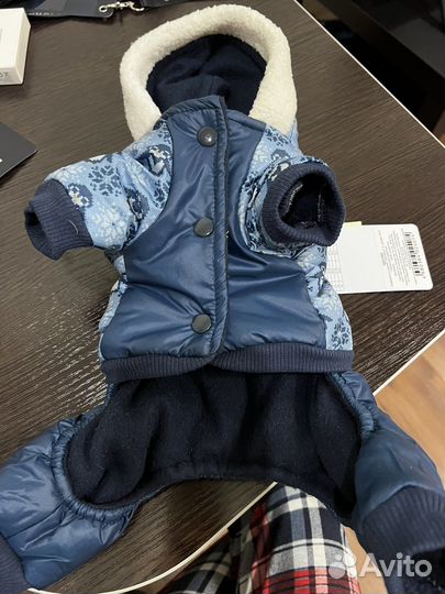 Одежда для маленьких собак