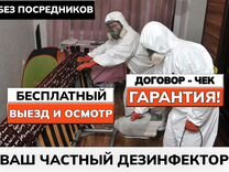 Уничтожение клопов тараканов дезинфекция плесени