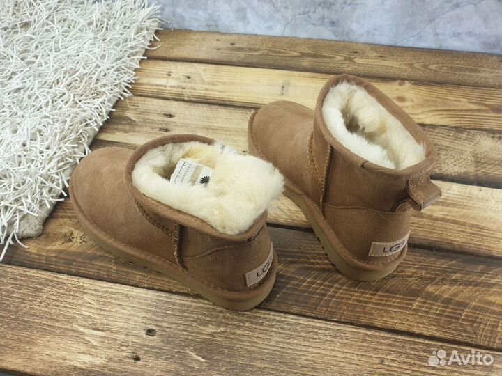 Ugg оригинал женские