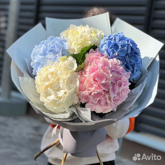 Гортензия Микс. Доставка Цветов