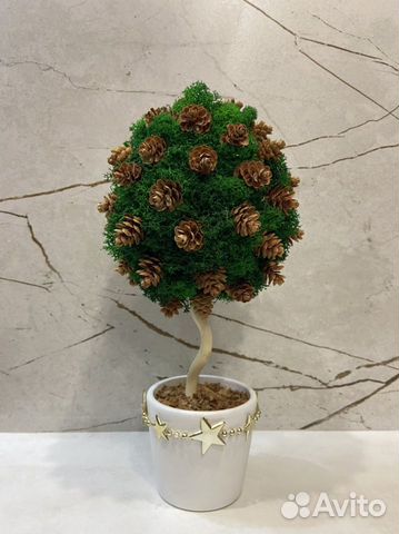Топиарий живое дерево