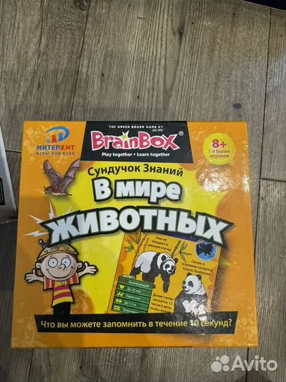 Сундучок знаний BrainBox