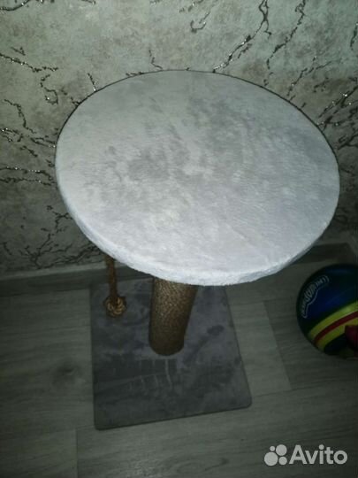 Когтеточка