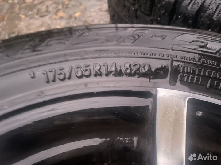 Зимняя резина Toyo observe gsi 5 175/65 R14