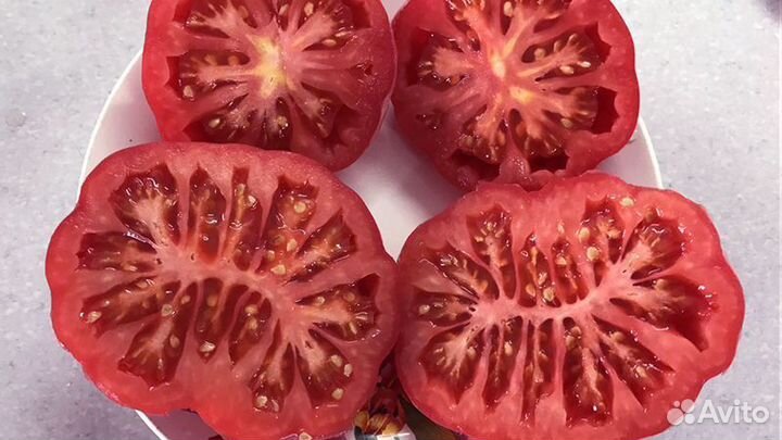 Семена Томата 