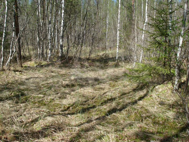 Участок 8 сот. (ИЖС)