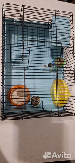 Продам клетку с джунгарским хомячком